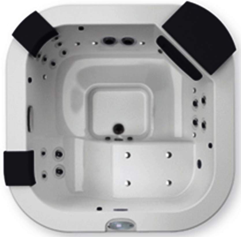 Спа бассейн Jacuzzi Delfi Pro Top (рис.2) Спа бассейн Jacuzzi Delfi Pro Top (рис.2)
